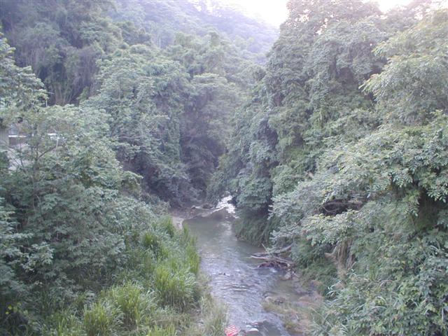A river flows